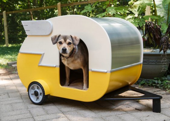 Indoor Camper Doghouse